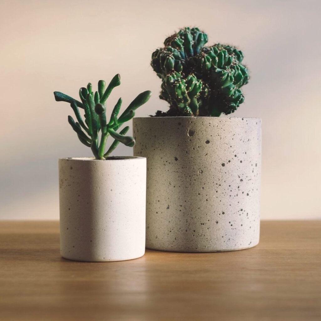 Concrete Planters, set of 2