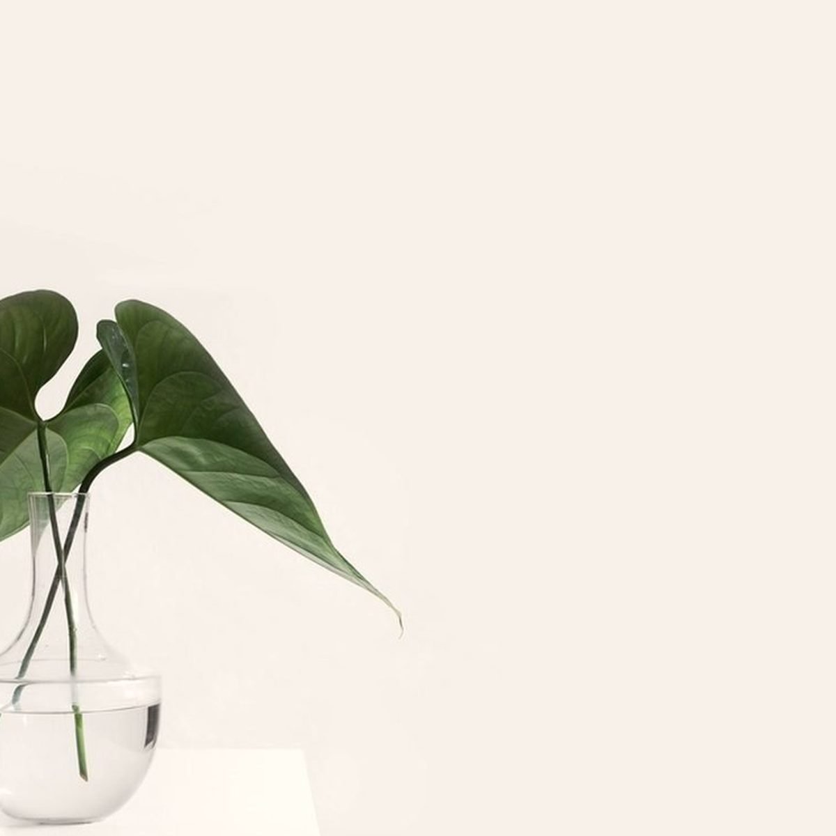 Glass Bud Vase, another view